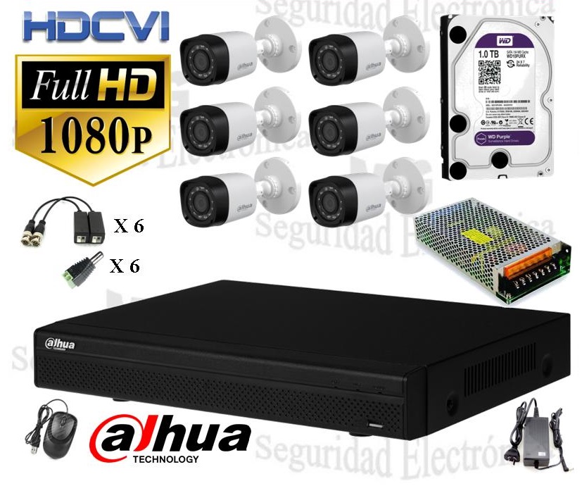 DVR, disco 1 TB, 6 cámaras bullet, balunes, fuente centralizada y conectores.
